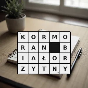 Hasło krzyżówkowe phalacrocorax neglectus gatunek ptaka z rodziny kormoranów phalacrocoracidae zamieszkuje tereny południowo zachodniej afryki - kormoran białorzytny – rozwiązanie, synonimy, podpowiedzi i definicje krzyżówkowe